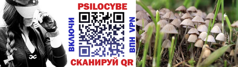 Галлюциногенные грибы Psilocybine cubensis  Купить закладки  Бирюч 